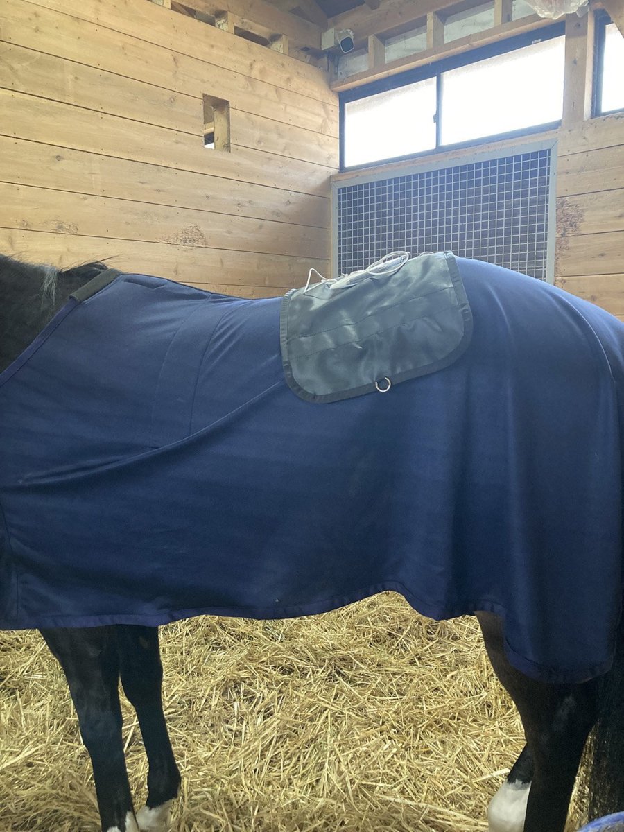 画像5:  Phiten 健光浴馬着　馬用マルチケット〜Multi Ket for Horse (5)
