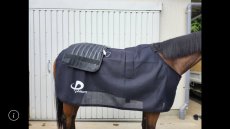 画像2:  Phiten 健光浴馬着　馬用マルチケット〜Multi Ket for Horse (2)